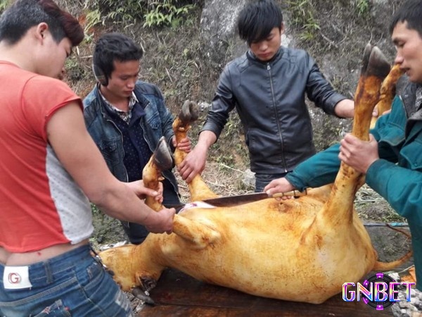 Hình ảnh mổ trâu trong giấc mơ thường gắn với sự hy sinh