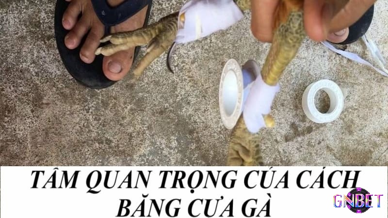 Các loại băng và vật liệu băng cựa chi tiết thực hiện cách băng, ưu điểm lựa chọn