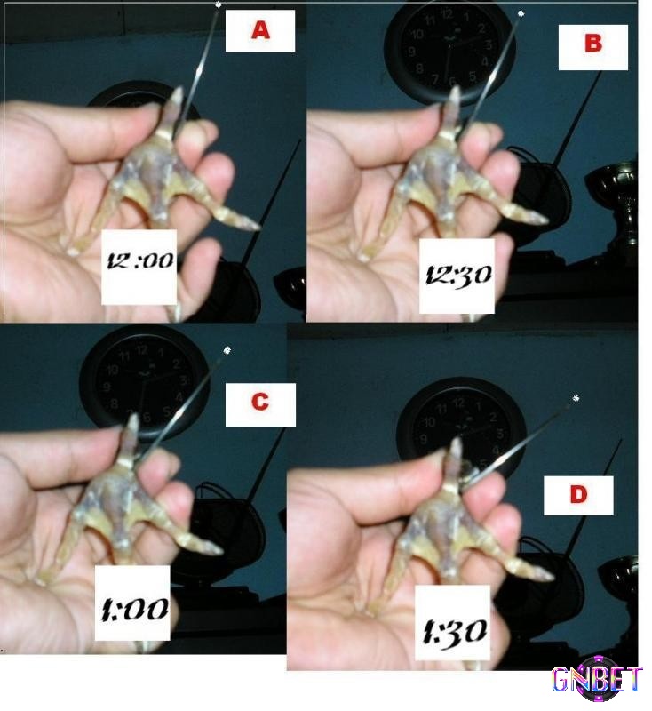 Kỹ thuật băng cựa cơ bản 4 bước từ chuyên gia được chia sẻ chi tiết, dễ thực hiện
