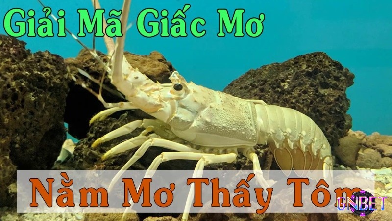 Giải mã giấc mơ thấy tôm chuẩn cùng Gnbet 
