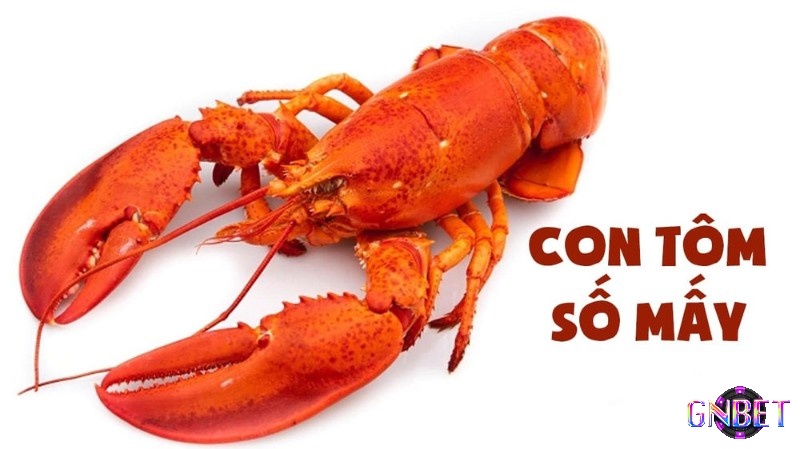 Số đề con tôm tùy thuộc theo từng bối cảnh mơ 