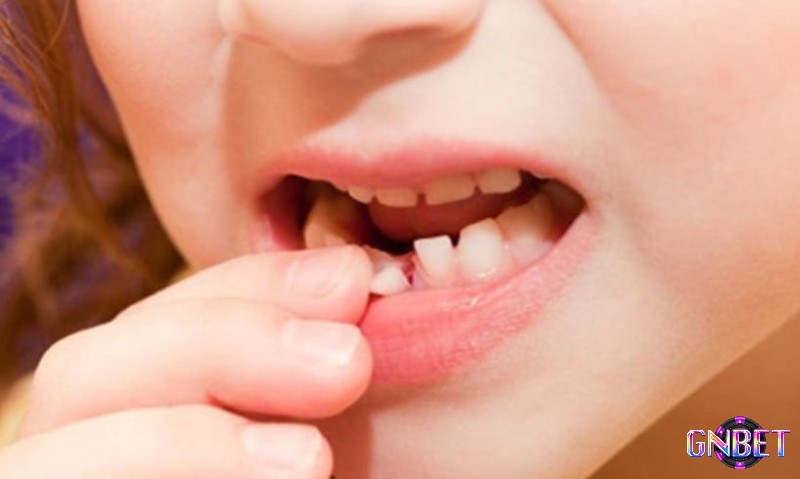 Kết hợp số mơ với ngày sinh giúp tăng độ chính xác và cảm giác tin tưởng