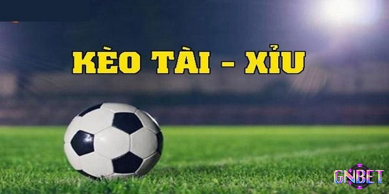 Cách bắt tài xỉu trong bóng đá hiệu quả cần kiến thức, phân tích, kinh nghiệm thực chiến và tâm lý vững vàng