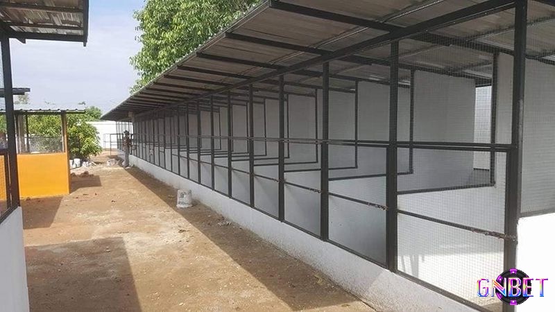 Dưới đây là một vài tiêu chí xây dựng chuồng gà chọi bền và đẹp mà Gnbet chung tôi muốn chia sẻ