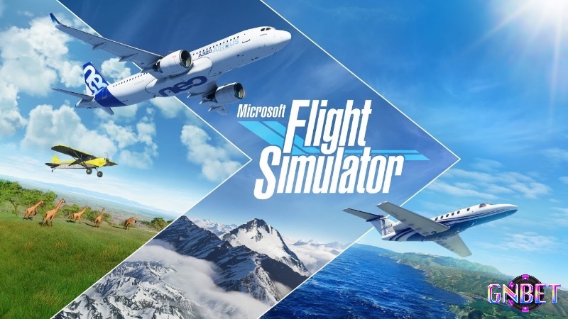 Game bắn máy bay online có nhiều thể loại phong phú, phù hợp với mọi đối tượng từ người mới chơi đến những game thủ chuyên nghiệp