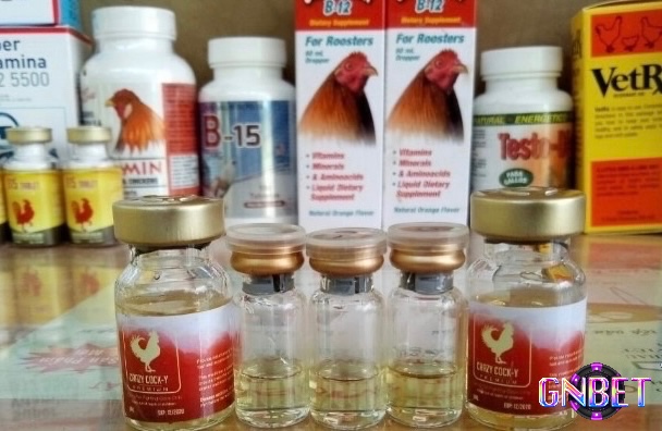 Một số loại thuốc nuôi gà đá phổ biến nhất hiện nay anh em nên tham khảo