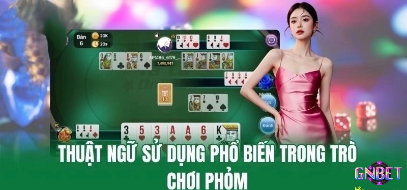 Một số cơ bản thuật ngữ trong game Phỏm online
