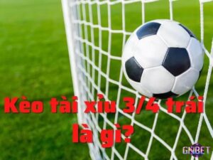 Tài xỉu 0.75 là sao với hướng dẫn cách đọc và tính kèo chi tiết