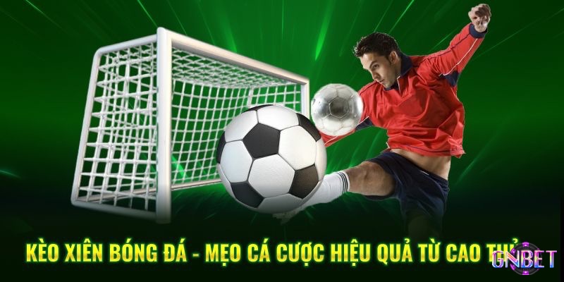 Những dữ liệu quan trọng cần xem xét trước khi thêm kèo cược xiên vào phiếu.