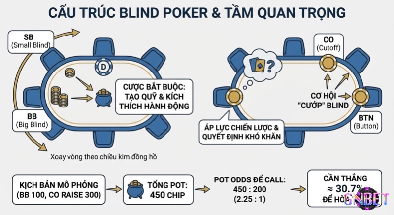 Tổng quan cấu trúc blind poker, giải thích vai trò SB, BB, cơ hội cướp blind chiến lược và phân tích Pot Odds 30.7% hòa vốn