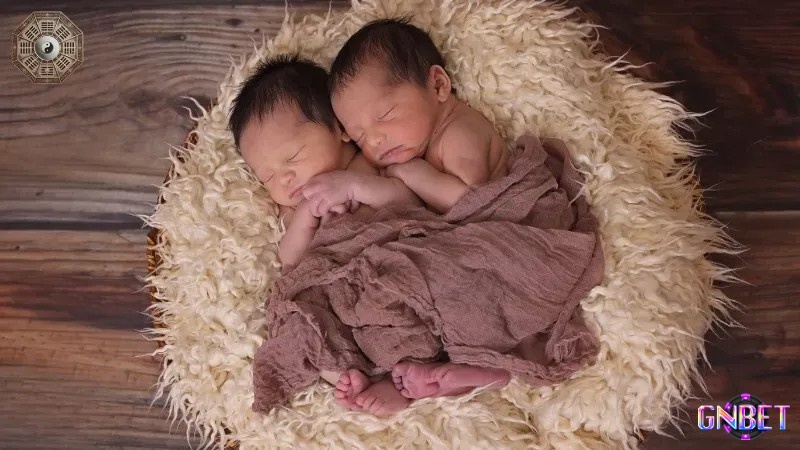 Giấc mơ thấy sinh đôi thể hiện cho những điều may mắn đến cùng lúc trong cuộc sống của bạn