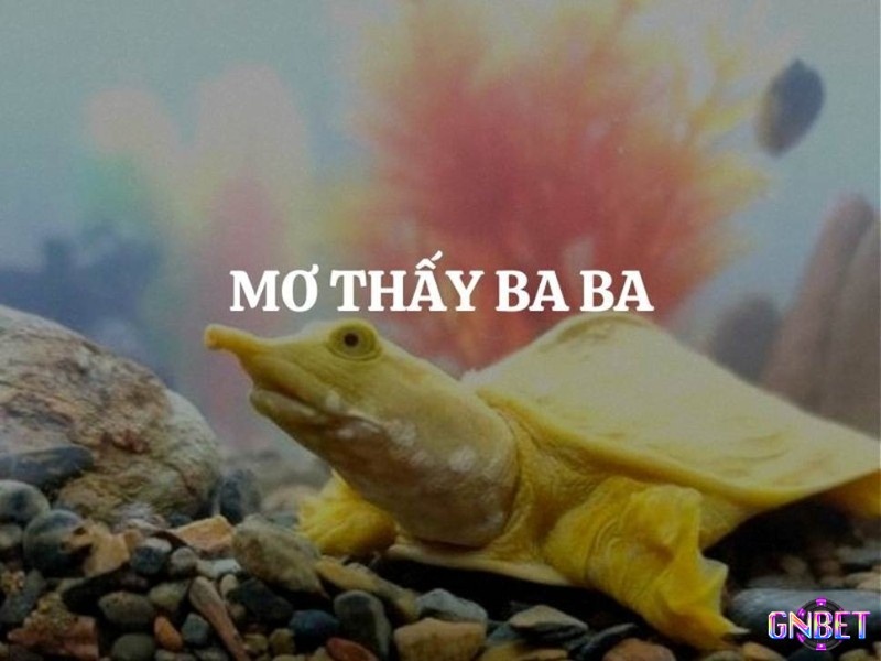 Hình ảnh mơ biểu thị sự kiên trì hoặc việc bạn đang tránh né vấn đề trong cuộc sống