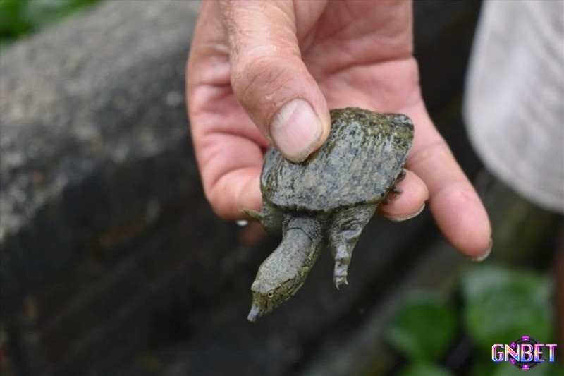 Đây là dấu hiệu cho thấy những nỗ lực trước đây đang mang lại kết quả rõ ràng