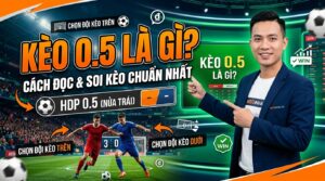 Kèo 0.5 là gì? Cách đọc và kinh nghiệm soi kèo chuẩn nhất